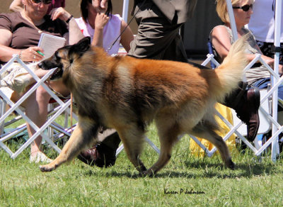g3/72/459272/3/125060902.bqa08YDr.jpg