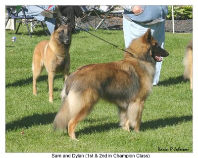 Sam (l) and Dylan (r)  (1st and Reserve)