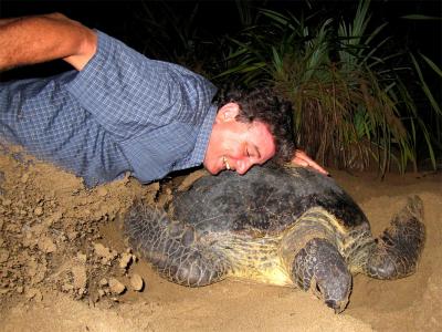 Sea Turtle Preserve- Ujung Genteng -South Java