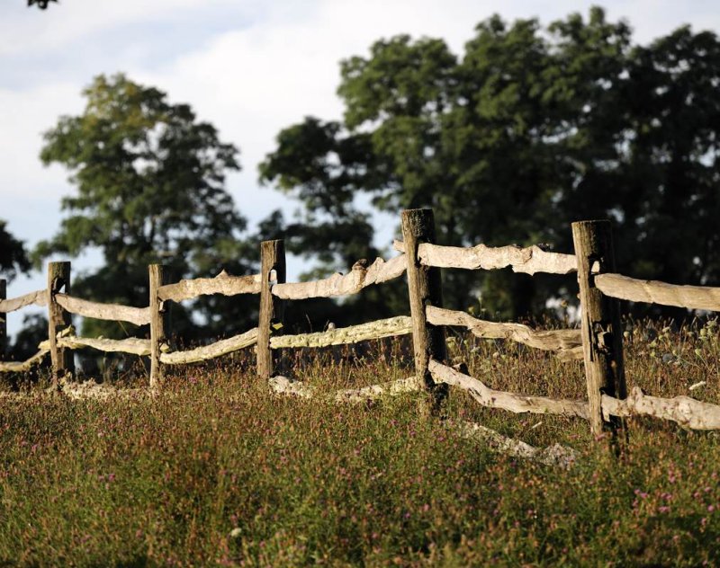 pbase Morning Light at Cogwall Fram August 28_DSC1634.jpg