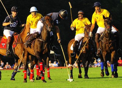 pbase polo 6 August 1_DSC6460.jpg