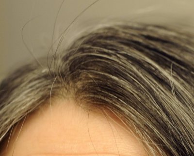 pbase Grey Hairs on January 27 2010 _DSC8841.jpg