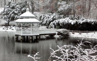 g3/72/523572/3/55231809.January232006.jpg