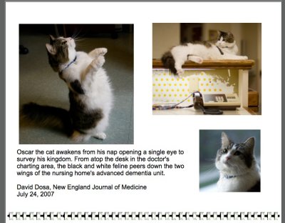 Oscar the Cat page .jpg