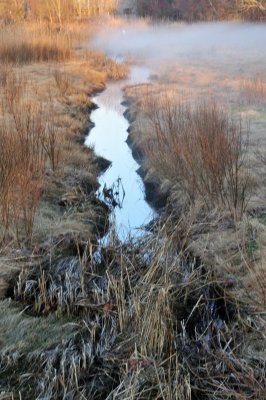 pbase River smoke on April 19 DSC_4819.jpg