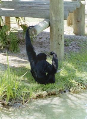 g3/72/541772/3/58988484.ape2.jpg