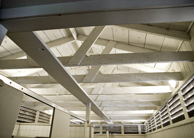 Rafters #1