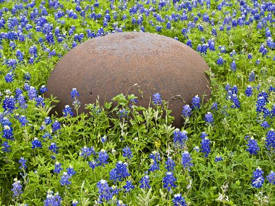 Wash pot in bluebonnets
