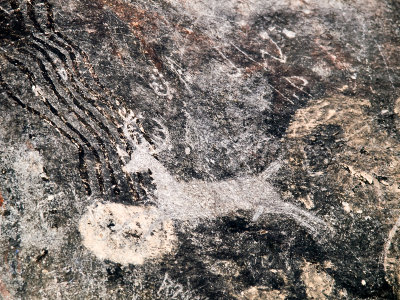 White deer petroglyph (uncertain origin)