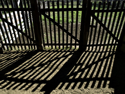 Gate to milking stalls