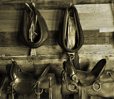 Two saddles, sepia