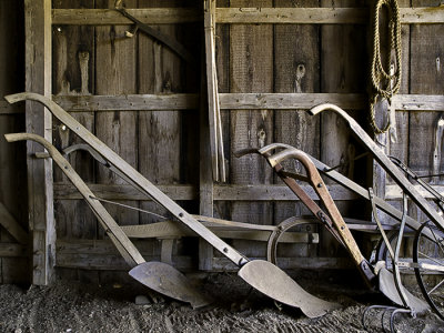 Horse-mule drawn plows