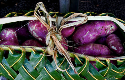 Palm basket