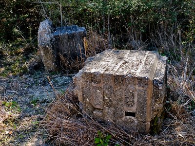 Original CCC column #2