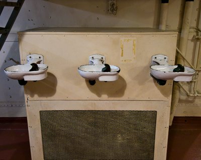 Scuttlebutt (water fountains)