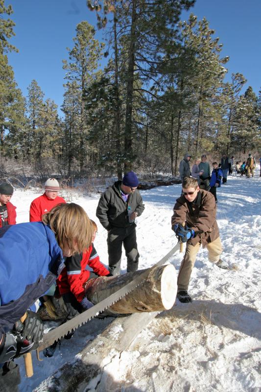 log sawing
