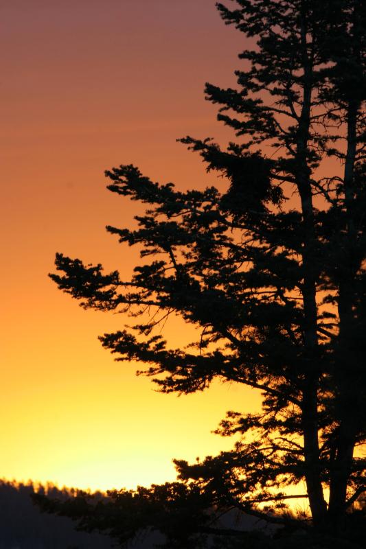 my Sunrise