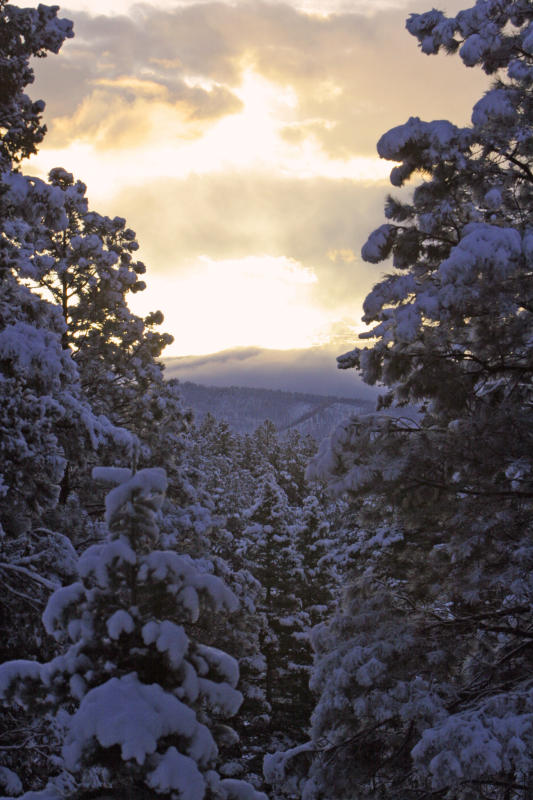 Good Morning snowfall