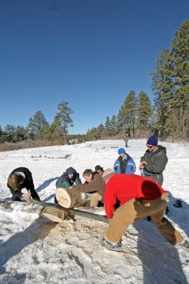 log sawing compition