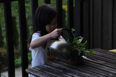 DSC_4008.jpg