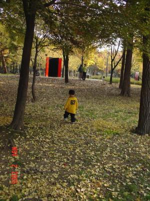DSC05402_resize.JPG