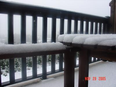 DSC05455_resize.JPG