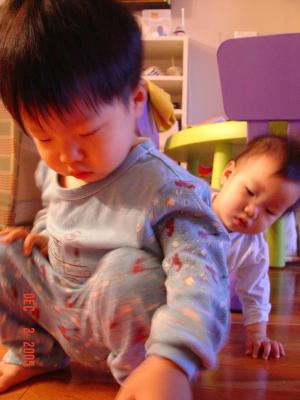 DSC05506_resize.jpg