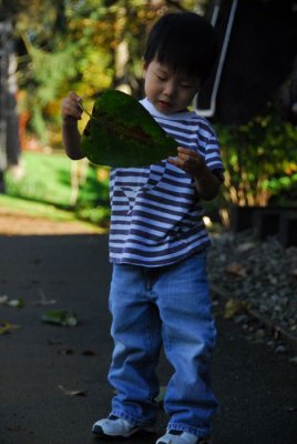 DSC_1274.jpg