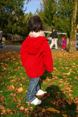 DSC_1429.jpg