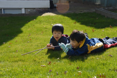DSC_2905.jpg