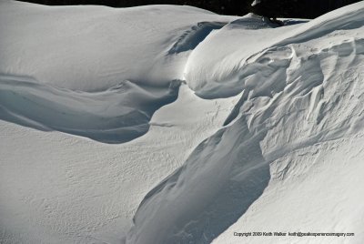 07-03-31-0488.JPG