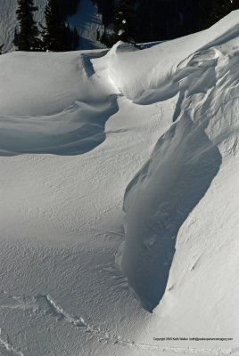 07-03-31-0502.JPG