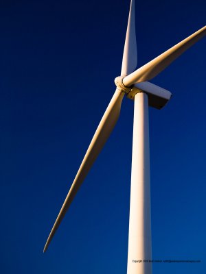 09-05-10H-0070a.JPG