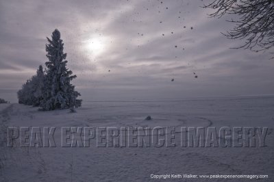 09-12-30-514a.JPG