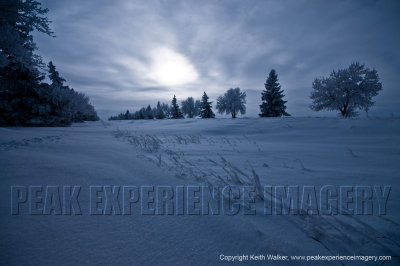 09-12-30-524a.JPG