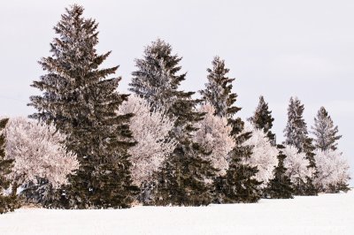 09-12-30-783a.JPG