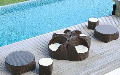 Coconut4-1000.jpg