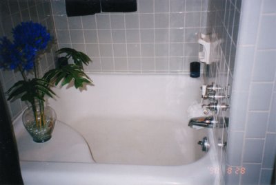 bathtub9.jpg