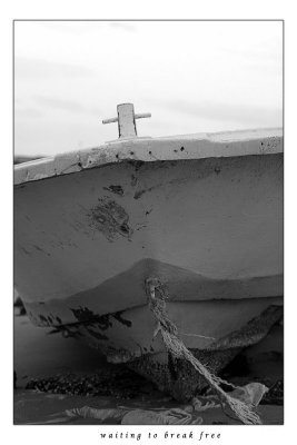 The Boat