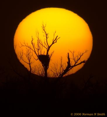 Eagle Nest at Sunset