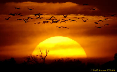 Sandhills and Sunset