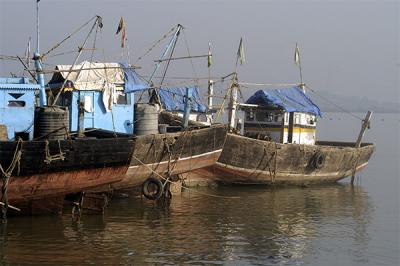 Sewri mud flats DSC_4717.jpg