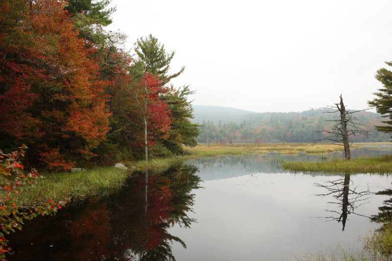 Vermont
