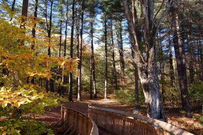 Chatfield Hollow State Park