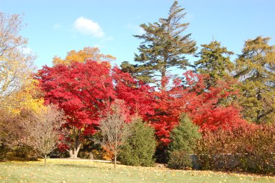 Fall 2007 in Connecticut