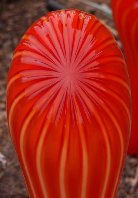 Chihuly's Nature of Glass