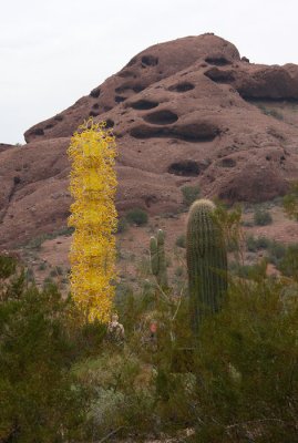 Chihuly's Nature of Glass