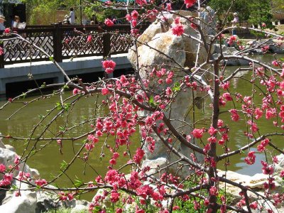 The Huntington