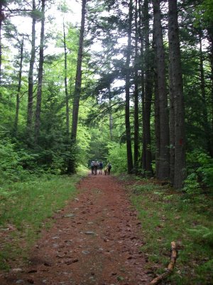 Pleasant Mountain Green