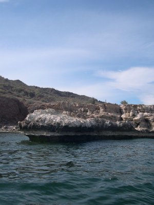 DSCN1980.JPG